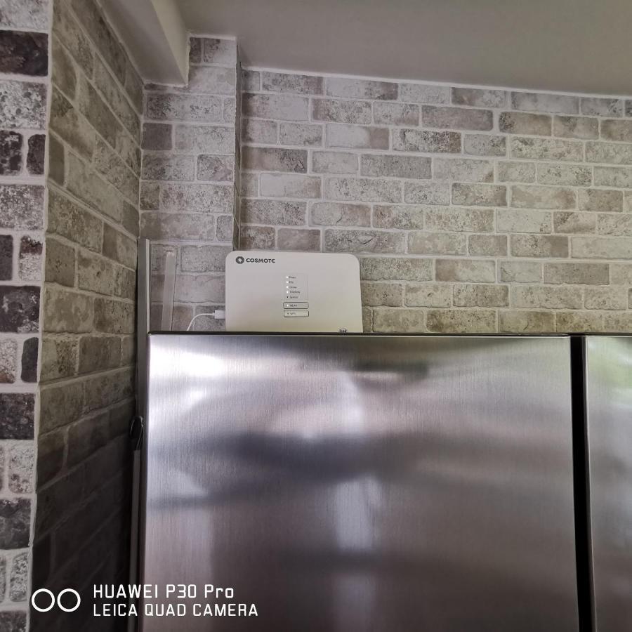 Family Apartment Zornitsa Néa Fókaia Bagian luar foto